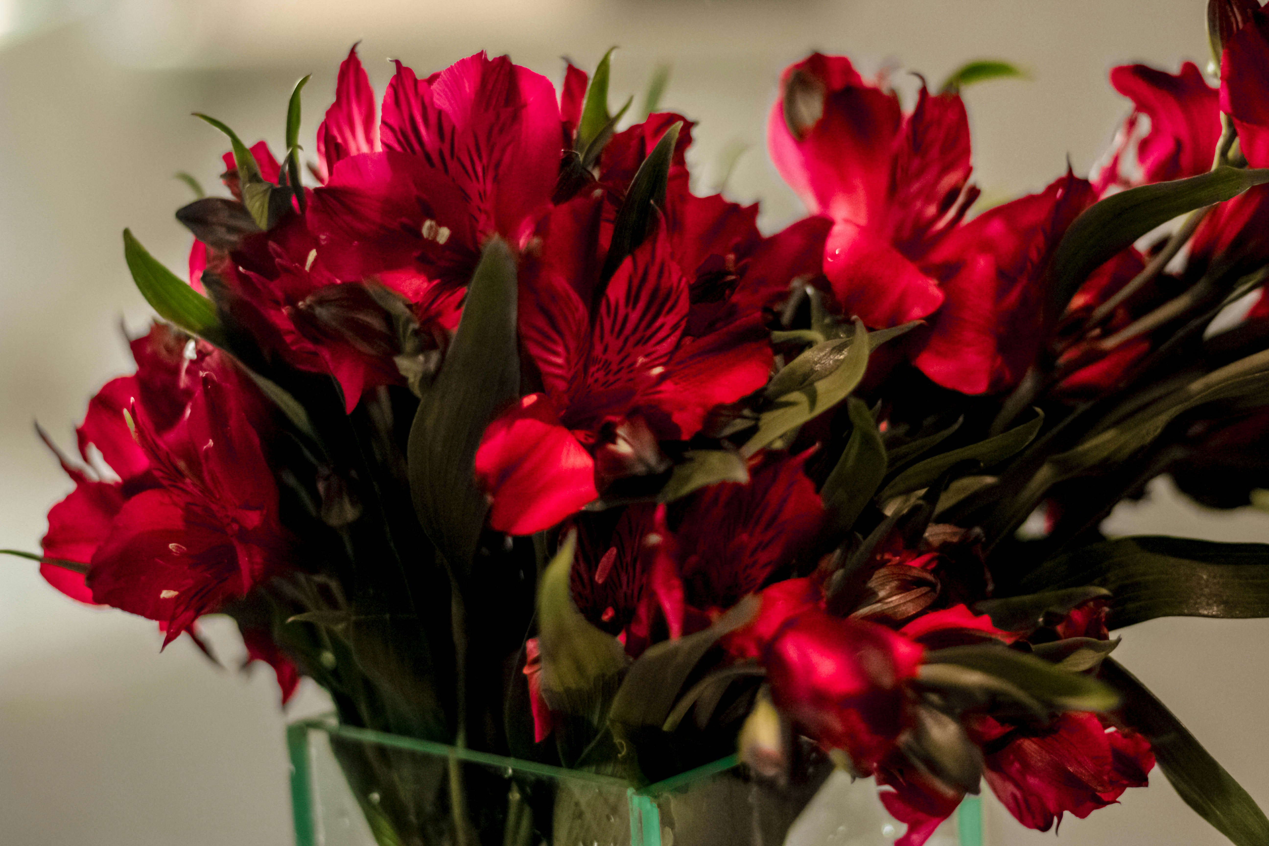 Photo by halannahalila