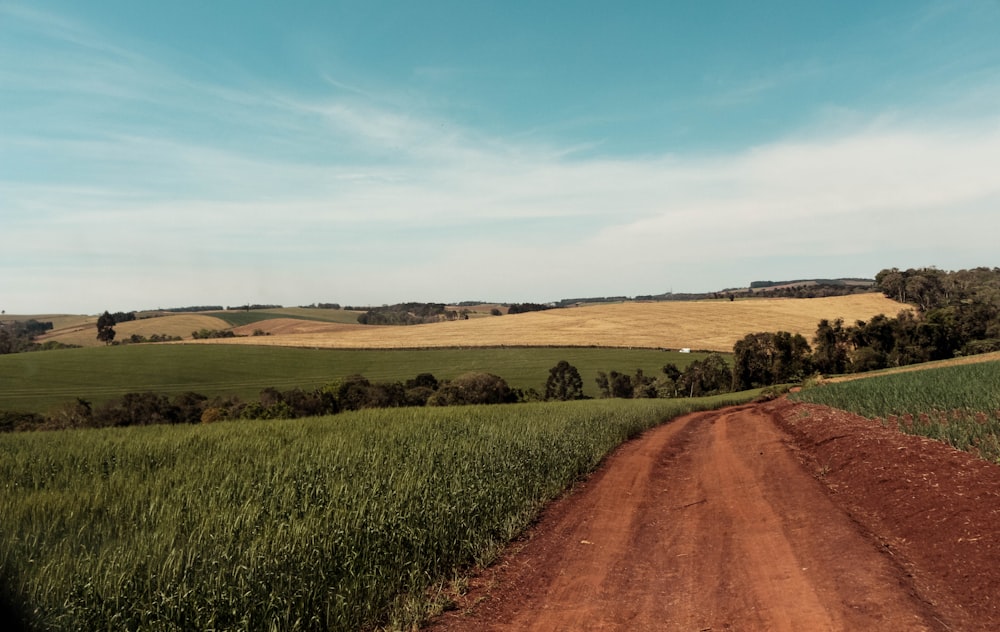 brown dirt road between green grass field under blue sky during daytime