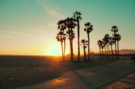 A serene beach scene at sunset featuring tall palm trees silhouetted against a glowing horizon. In the distance, a Ferris wheel and roller coaster are visible, casting shadows on the sandy shoreline. The sky is painted in hues of orange and teal, creating a tranquil and picturesque atmosphere.