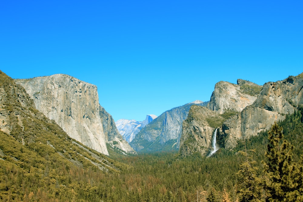 green trees near gray rocky mountain under blue sky during daytime