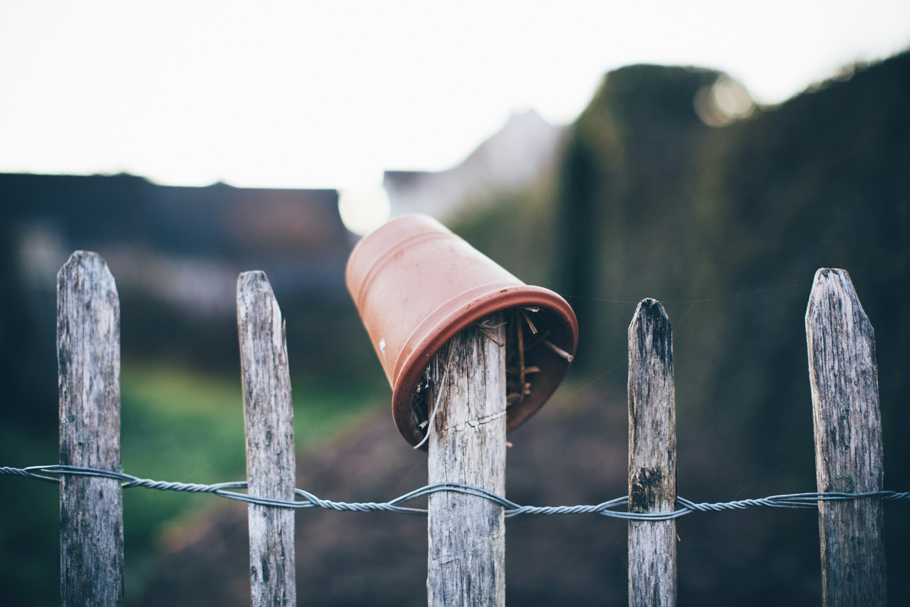 Photo by markusspiske