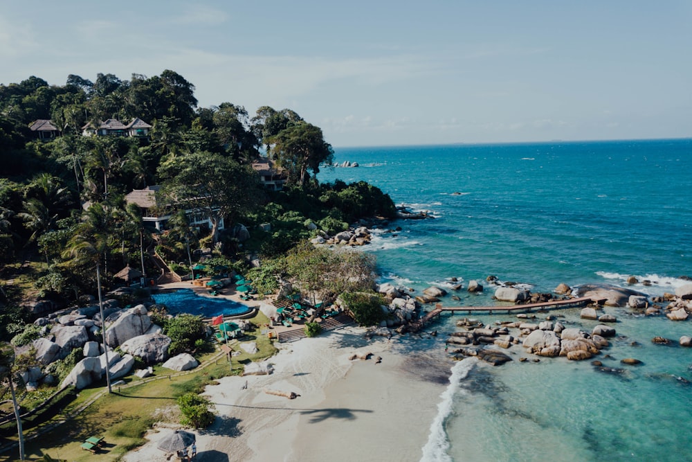 alberi verdi sulla spiaggia di sabbia bianca durante il giorno