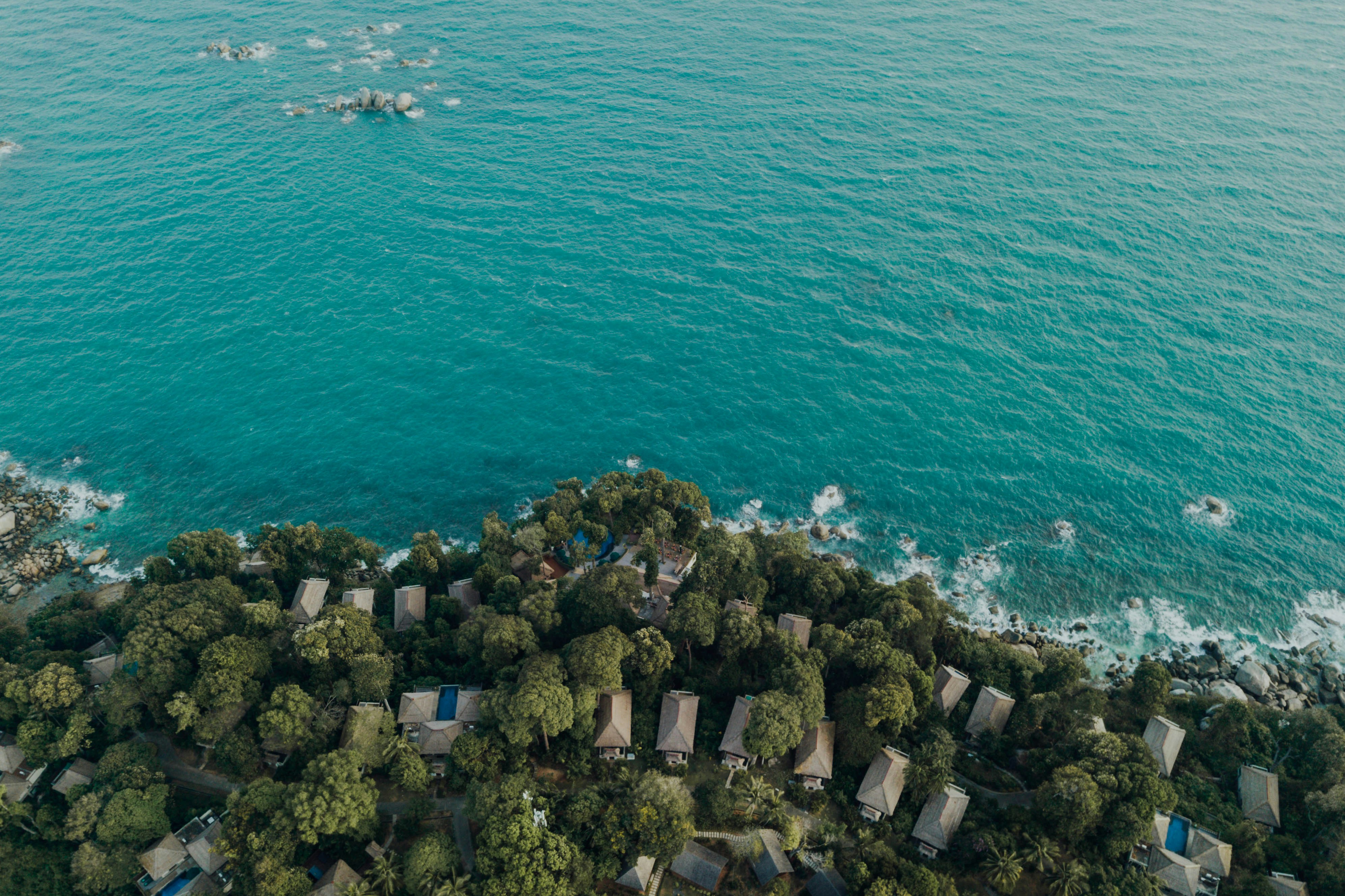 Photo by chuttersnap