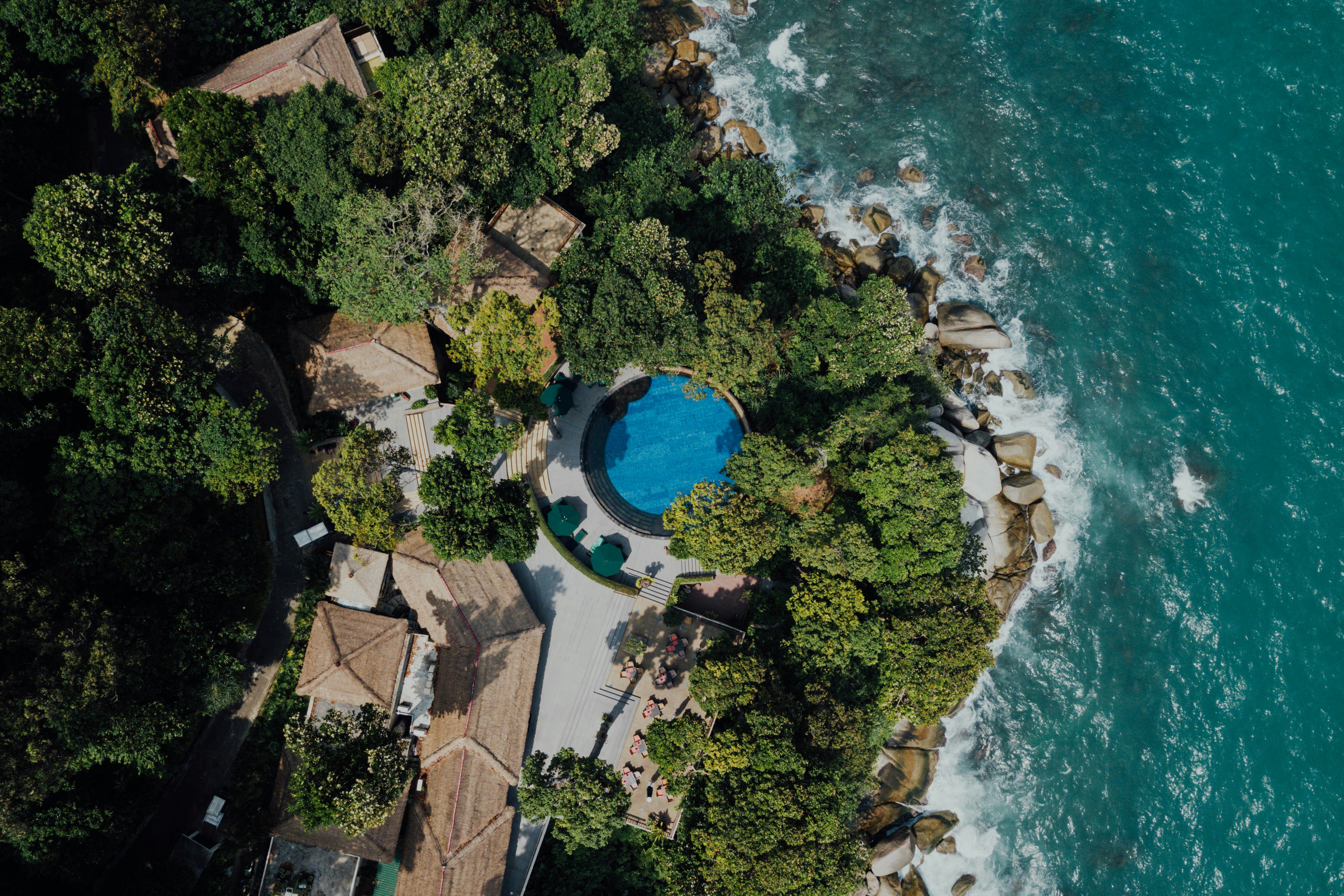 aerial view of green trees near body of water during daytime