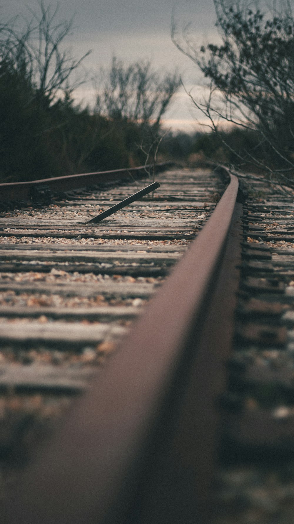 brown train rail during daytime