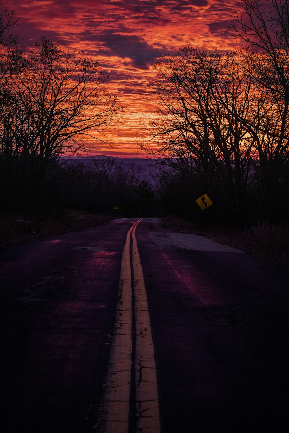 route goudronnée noire entre les arbres nus au coucher du soleil