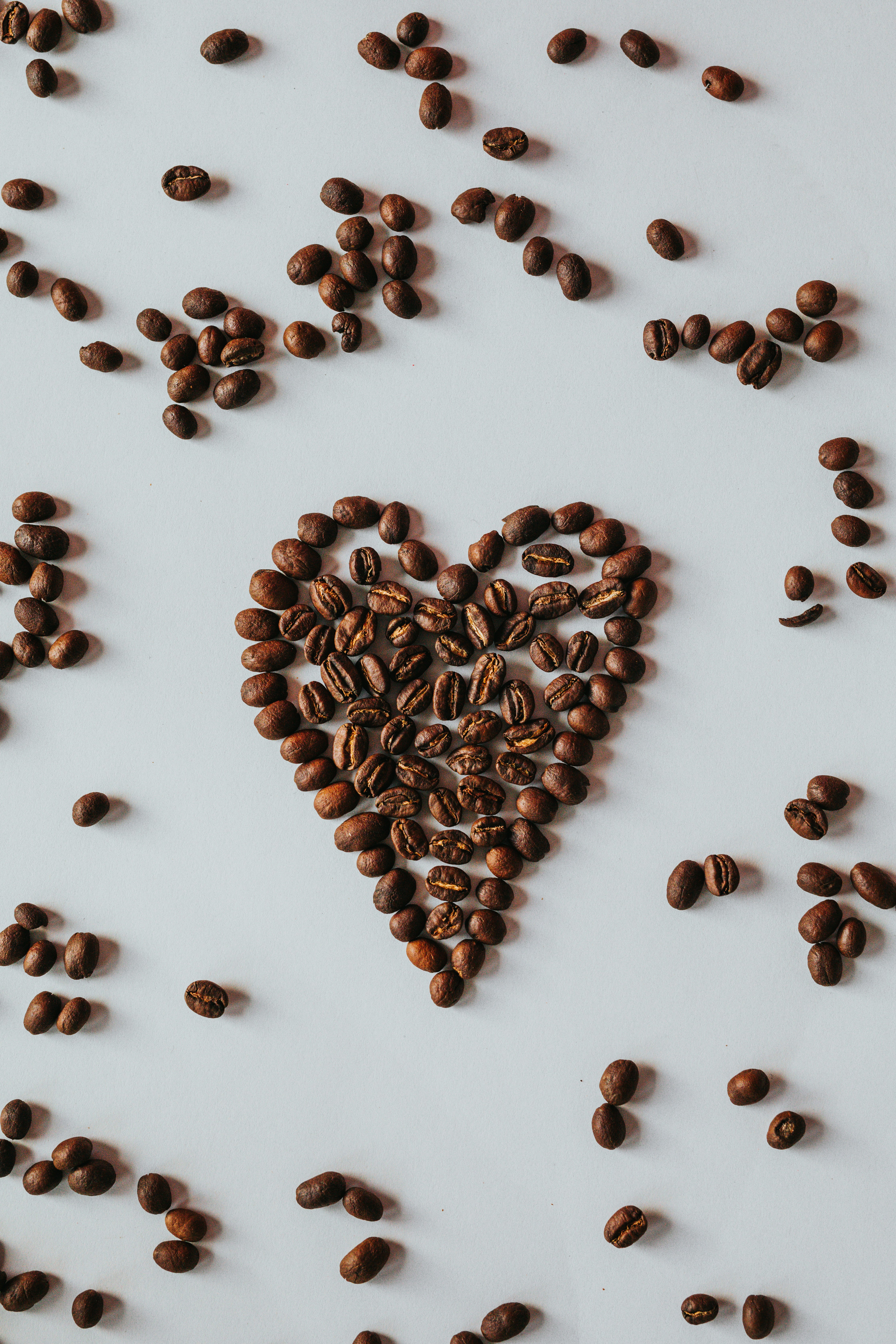 Photo by nate_dumlao