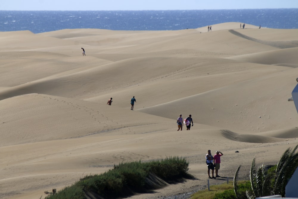 Menschen, die tagsüber auf braunem Sand spazieren gehen