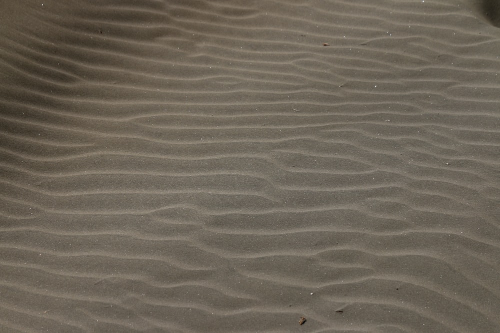 brown sand with water during daytime