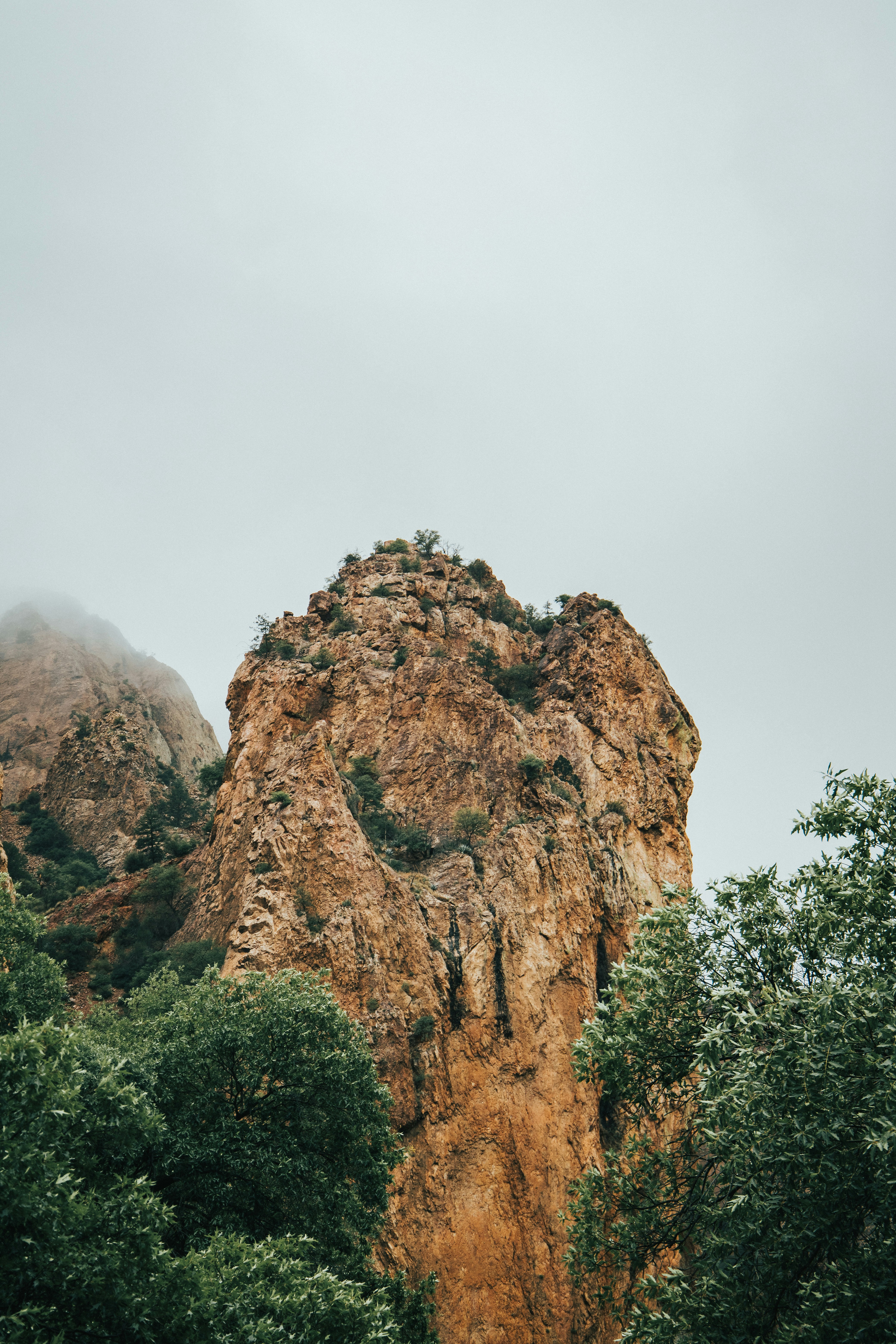 💵 how valuable is your data?