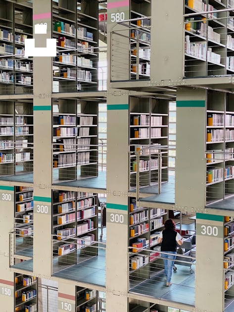 white wooden book shelves with books photo – Free Biblioteca vasconcelos  Image on Unsplash