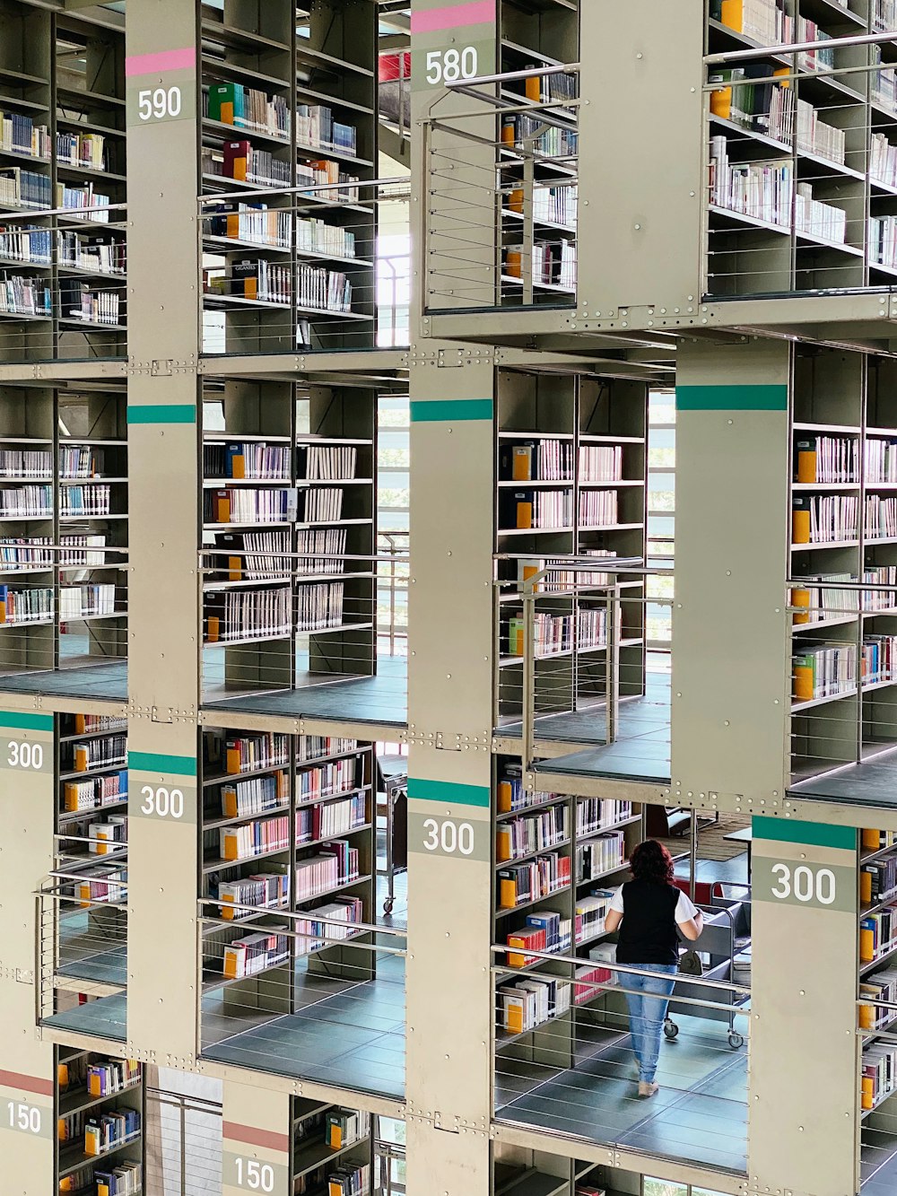 estanterías de madera blanca con libros