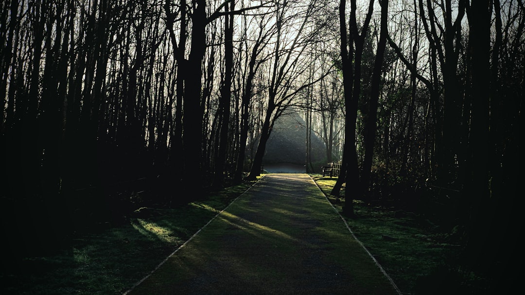 Forest photo spot St Fagans Wells