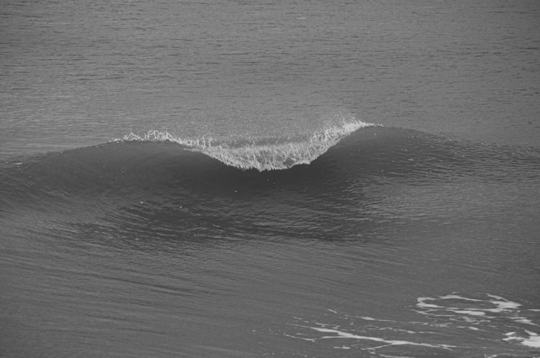 Surfing photo spot Dunkerque France