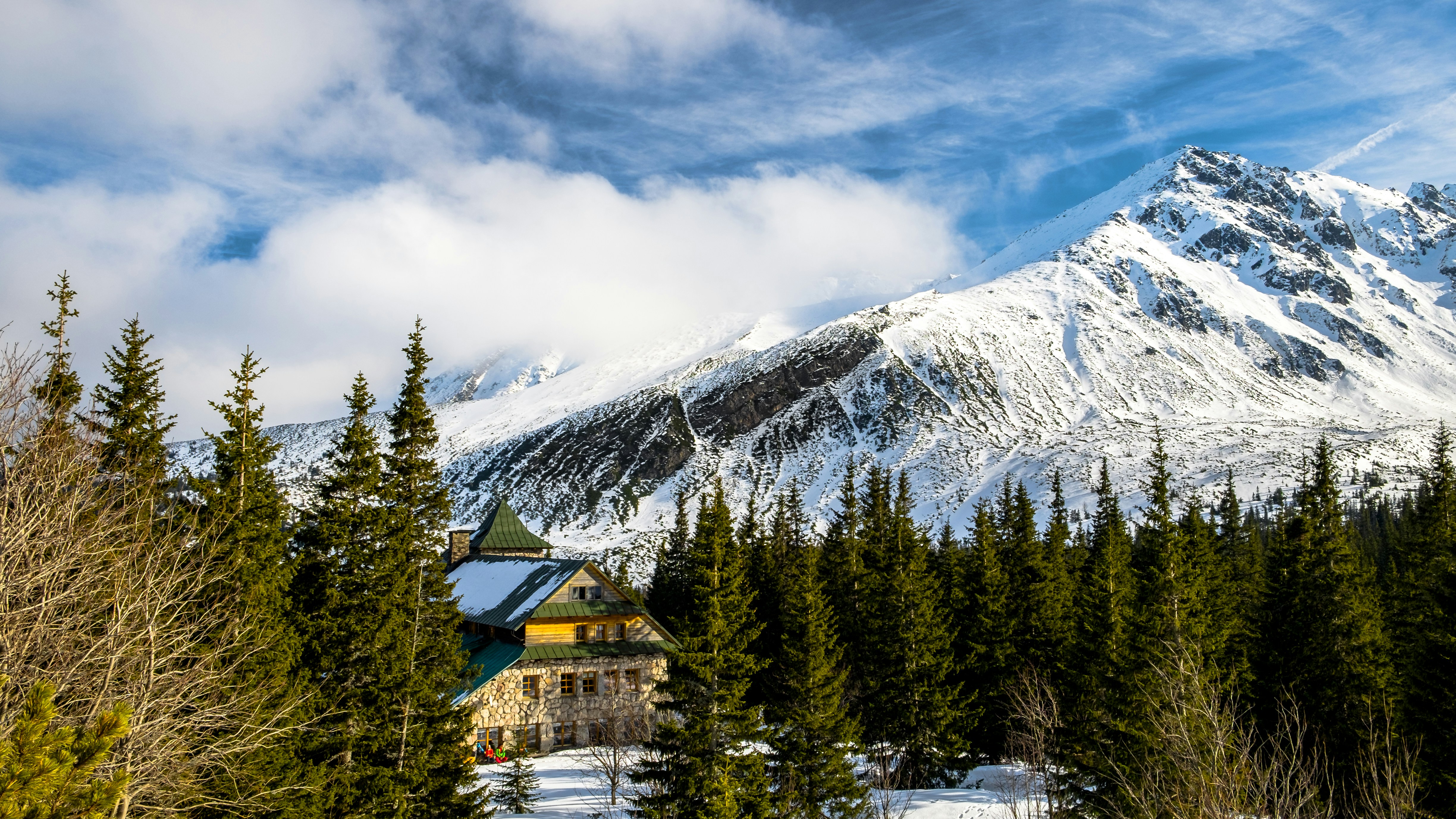 Mountain lodge with wooden architecture surrounded by pine trees