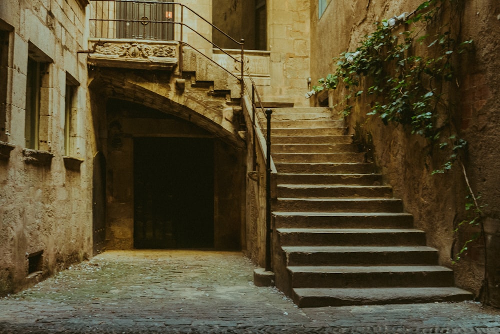 brown concrete staircase with green plants