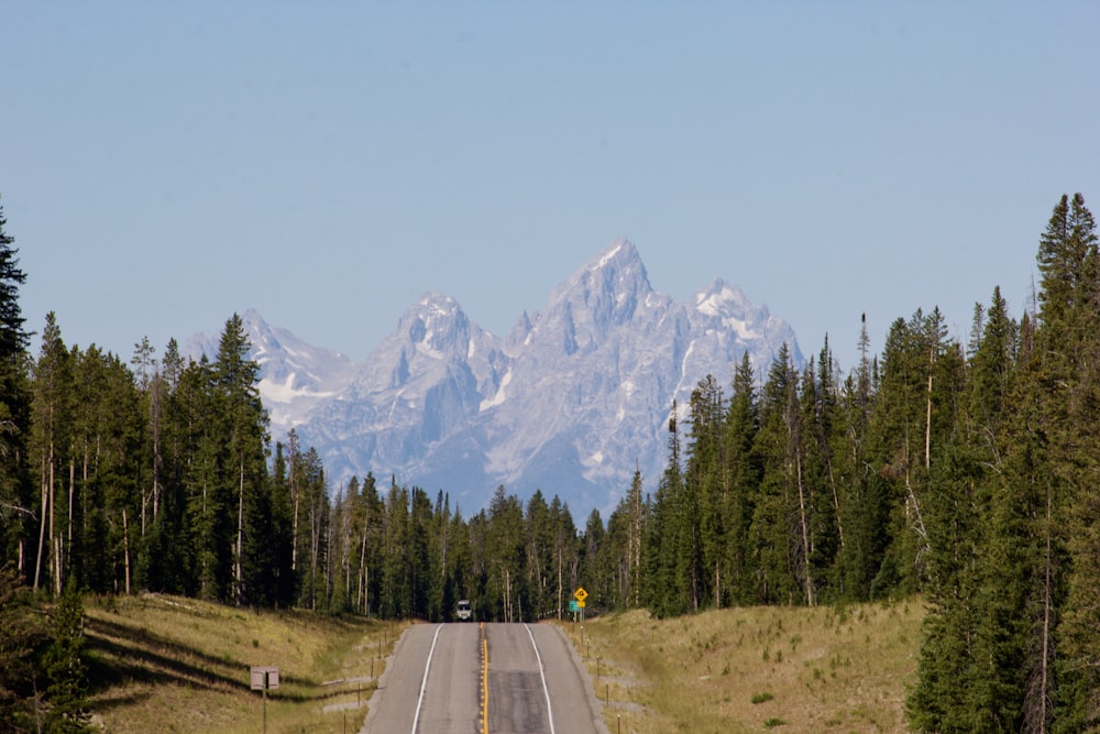 gray concrete road between green trees and white mountains during daytime