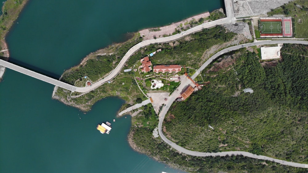 aerial view of green trees and river