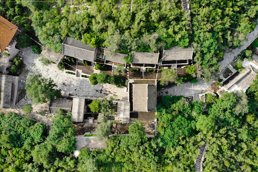 aerial view of green trees during daytime