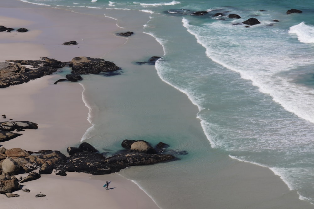 Vue aérienne de personnes sur la plage pendant la journée