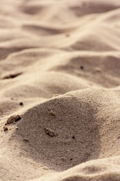 brown sand with footprints during daytime