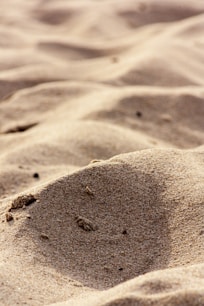 brown sand with footprints during daytime
