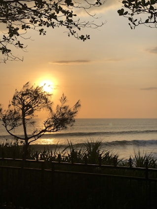 A panoramic view of a serene coastal destination at sunset, with warm golden light reflecting on the water and lush greenery framing the scene.