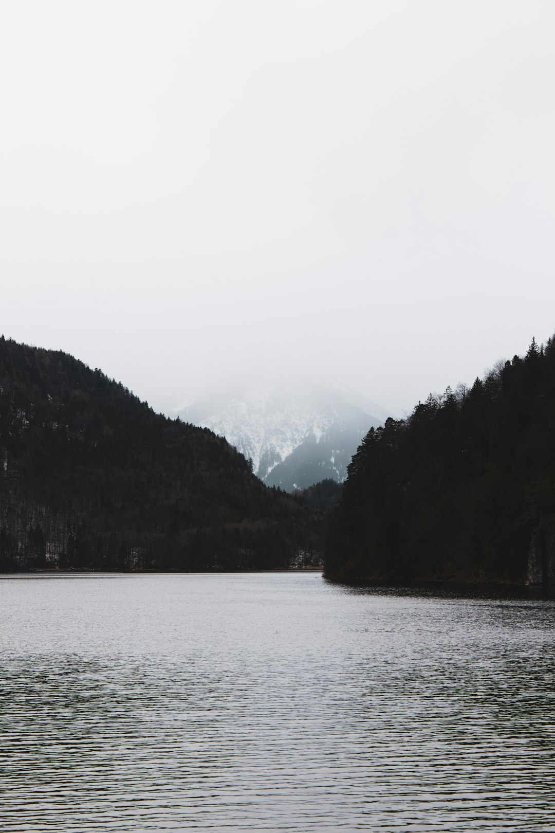 green trees near body of water during daytime