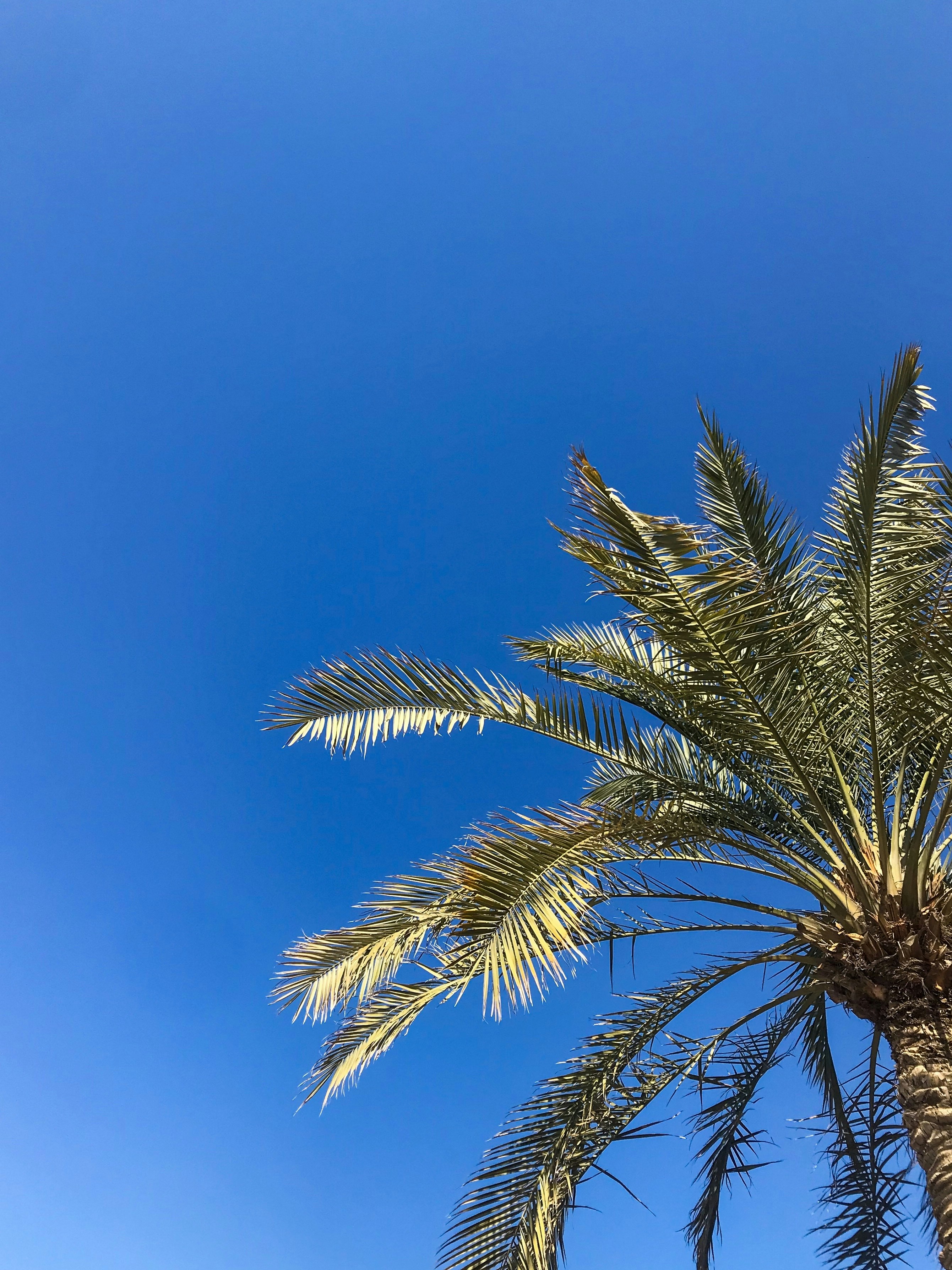 Photo by othmanalsulaili