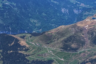 Peaceful scenic view from an adventure game with lush forests and mountains