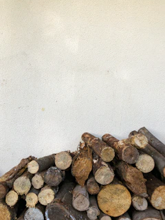 Stack of freshly milled Douglas fir planks leaning against a rustic forest-green painted wall
