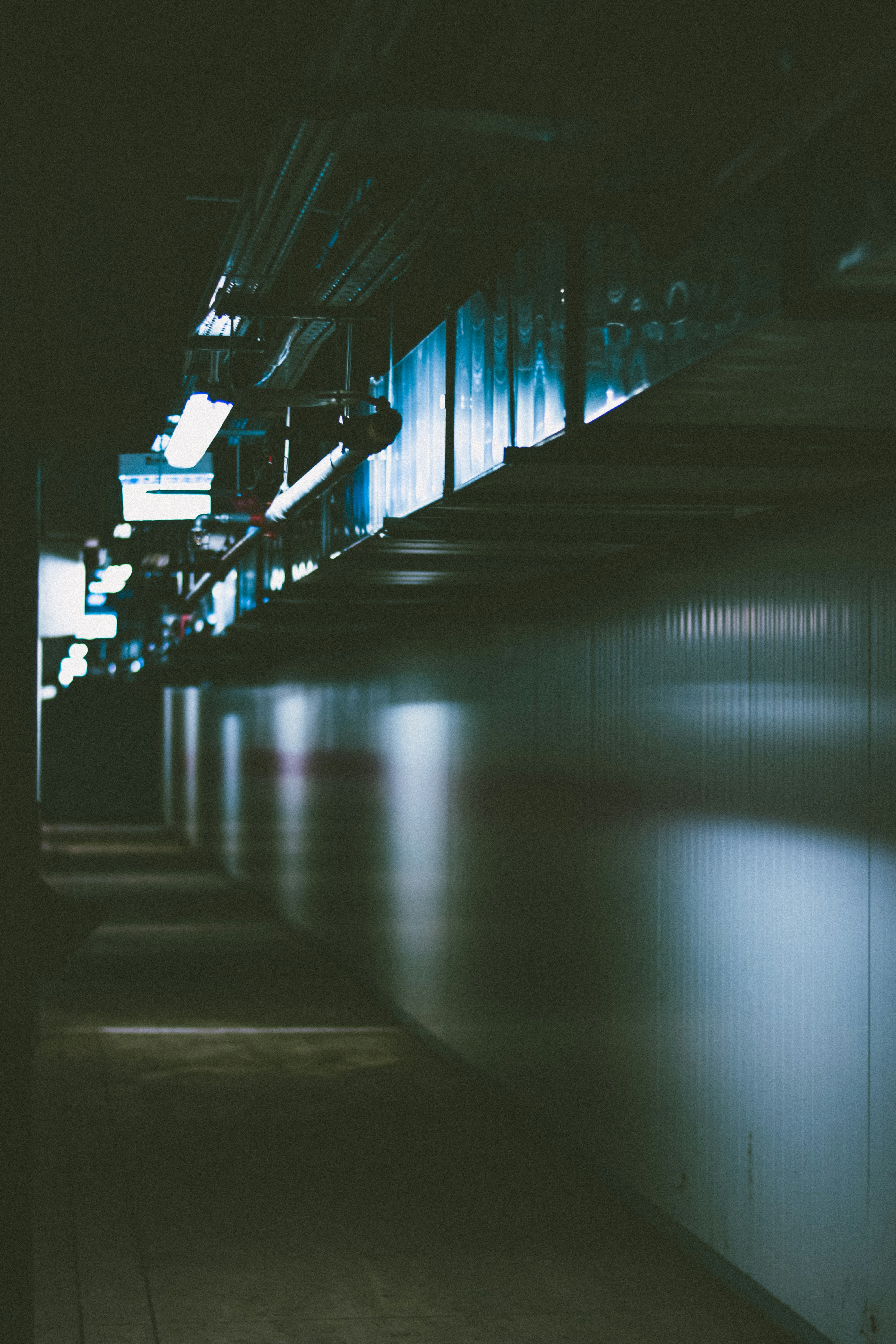 Photo by sergiucindea