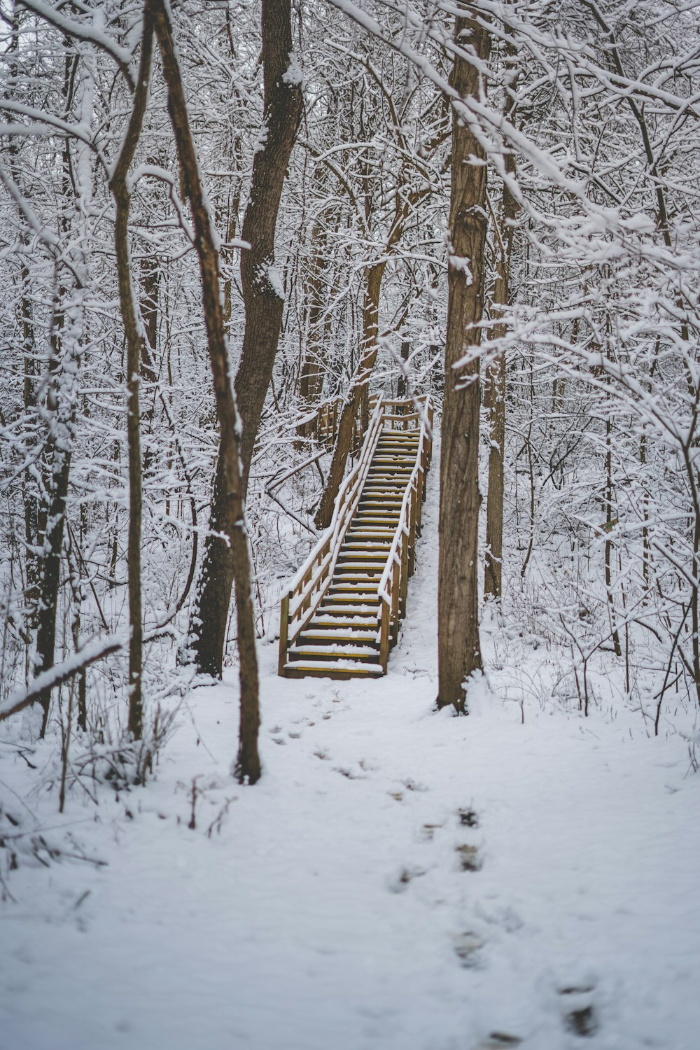 雪に覆われた茶色の木の階段