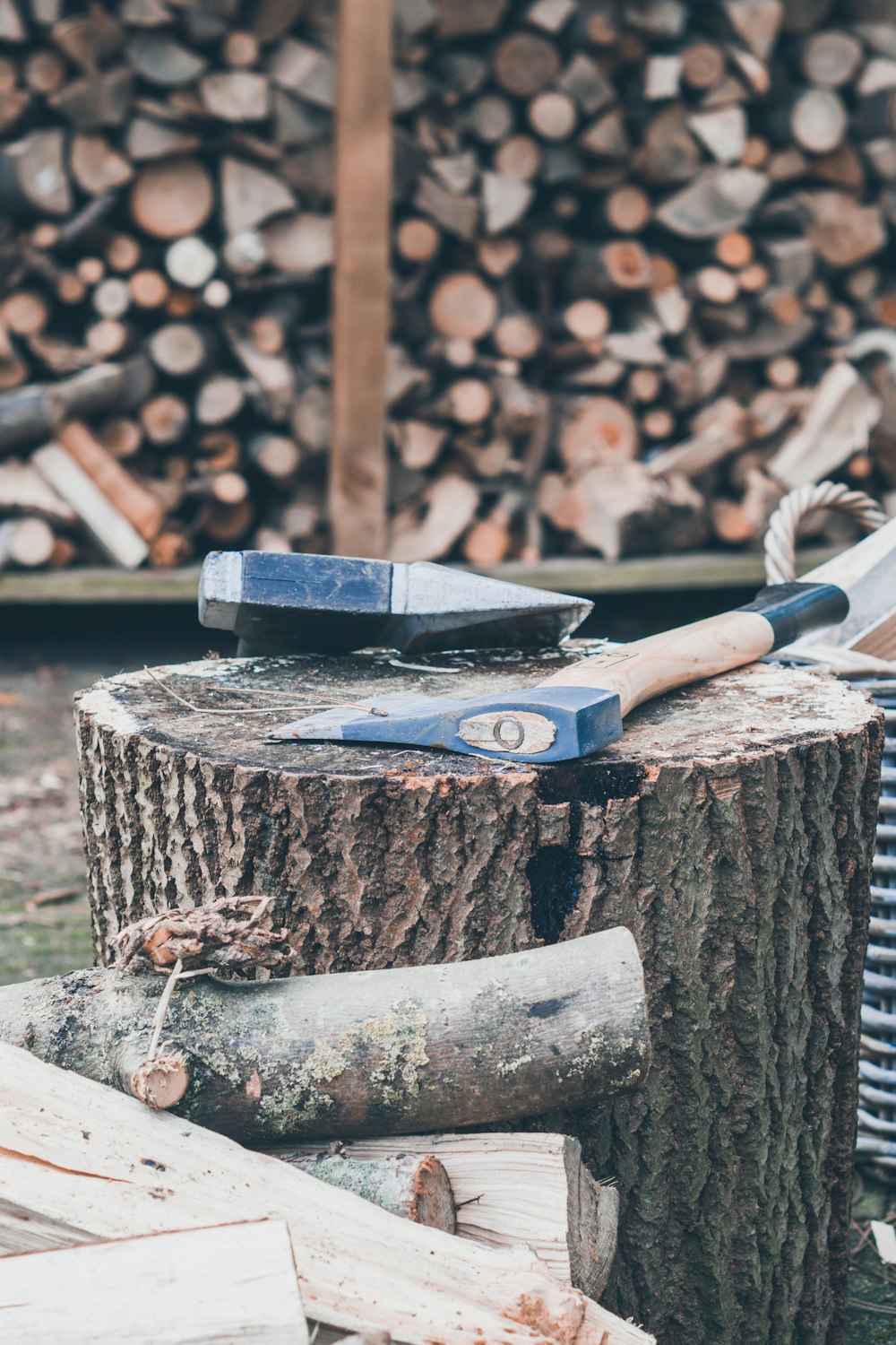 50,000+ Wood Cutting Pictures  Download Free Images on Unsplash