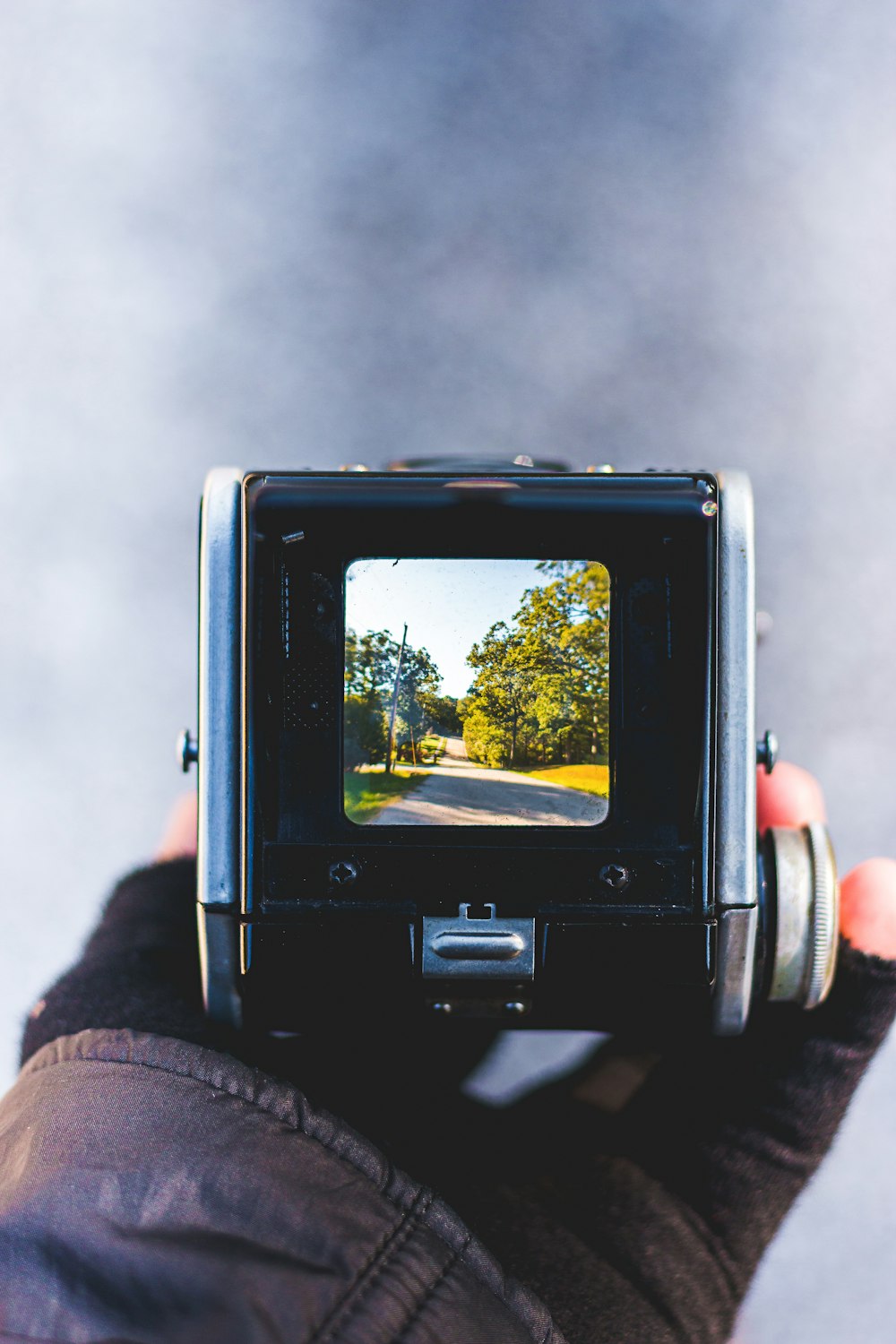 person holding black point and shoot camera