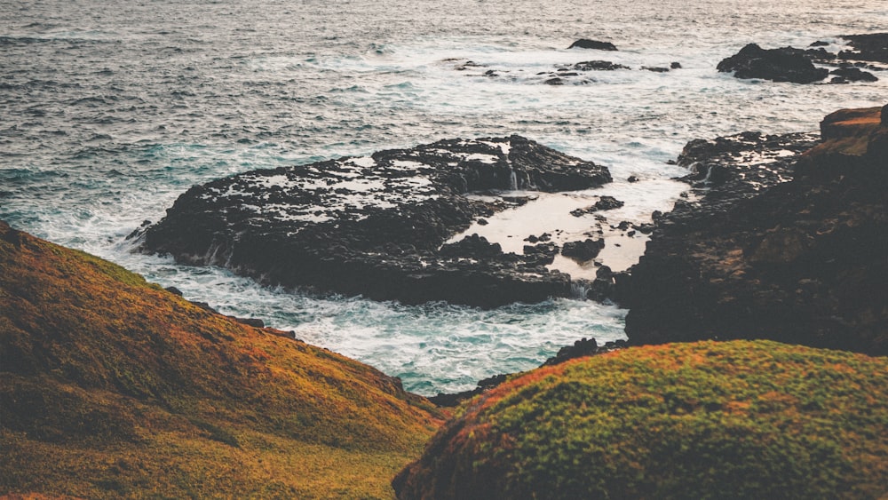 green grass covered mountain beside body of water during daytime