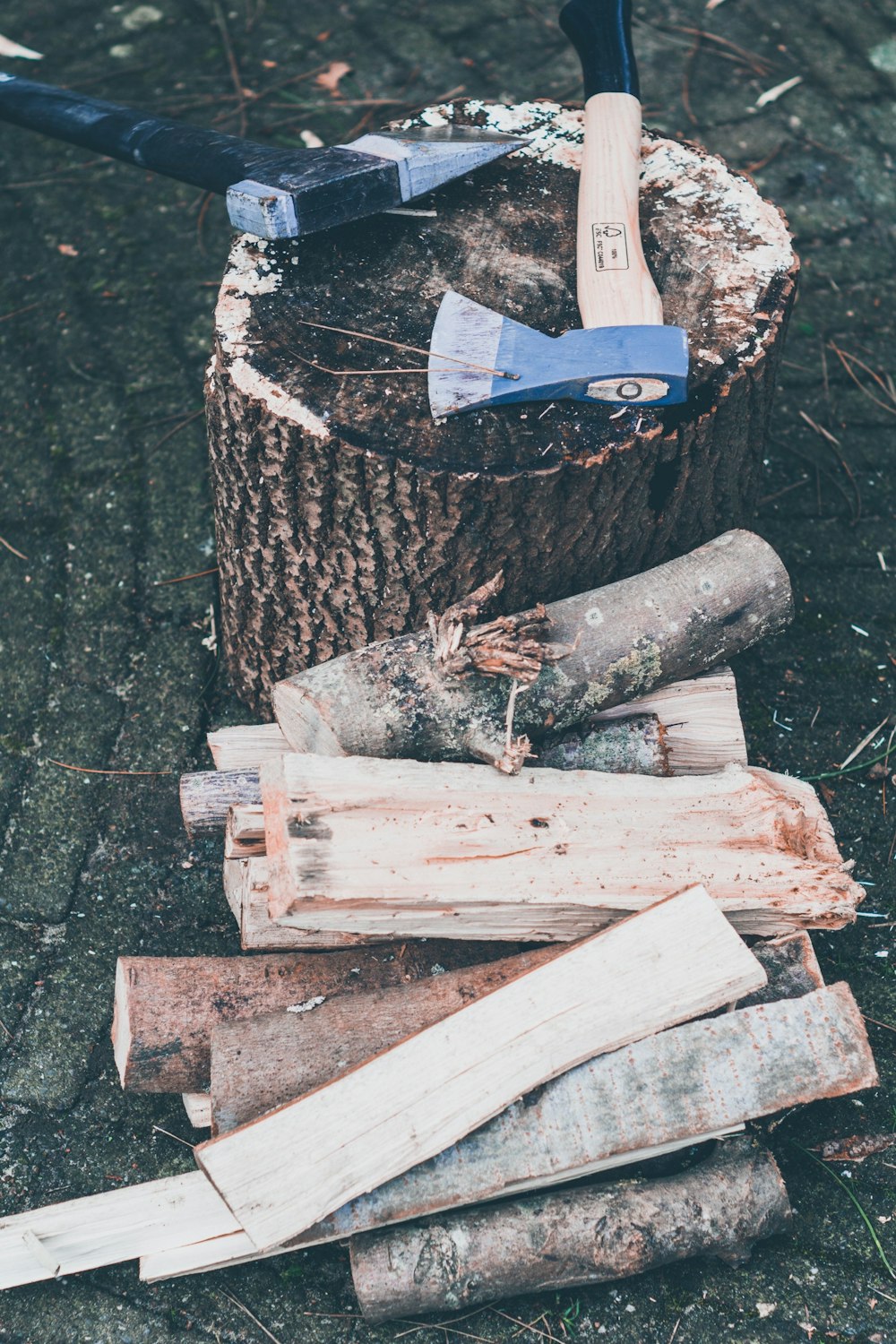 brown wood log on brown wooden log