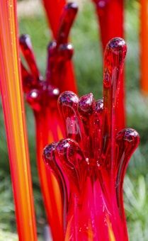 Brightly colored glass sculptures with elongated, organic shapes in shades of vibrant red and orange. The reflective surface of the glass enhances the rich hues against a blurred outdoor background.