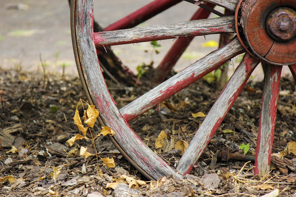 ruota in metallo marrone su foglie secche