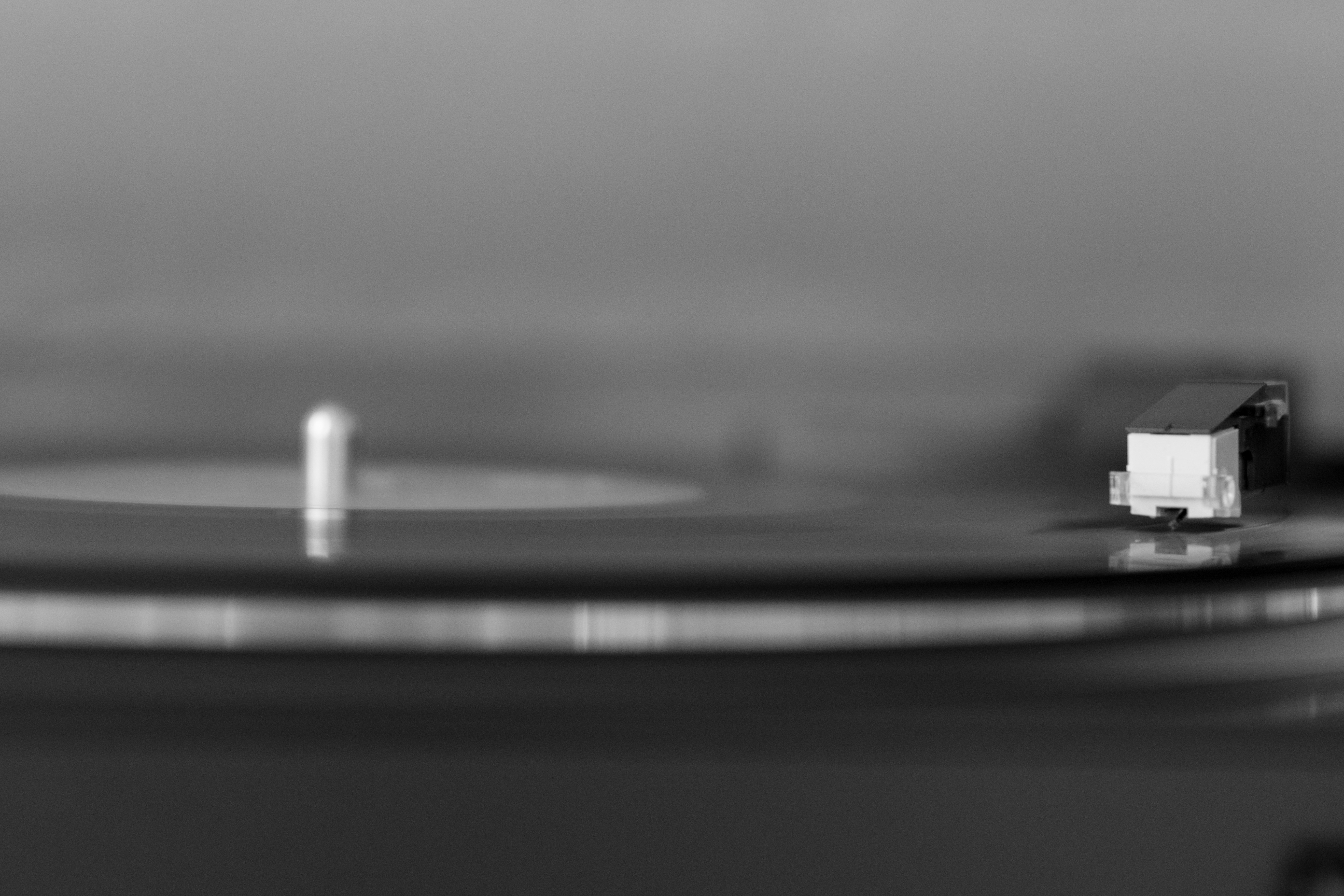 Photo by frank041985