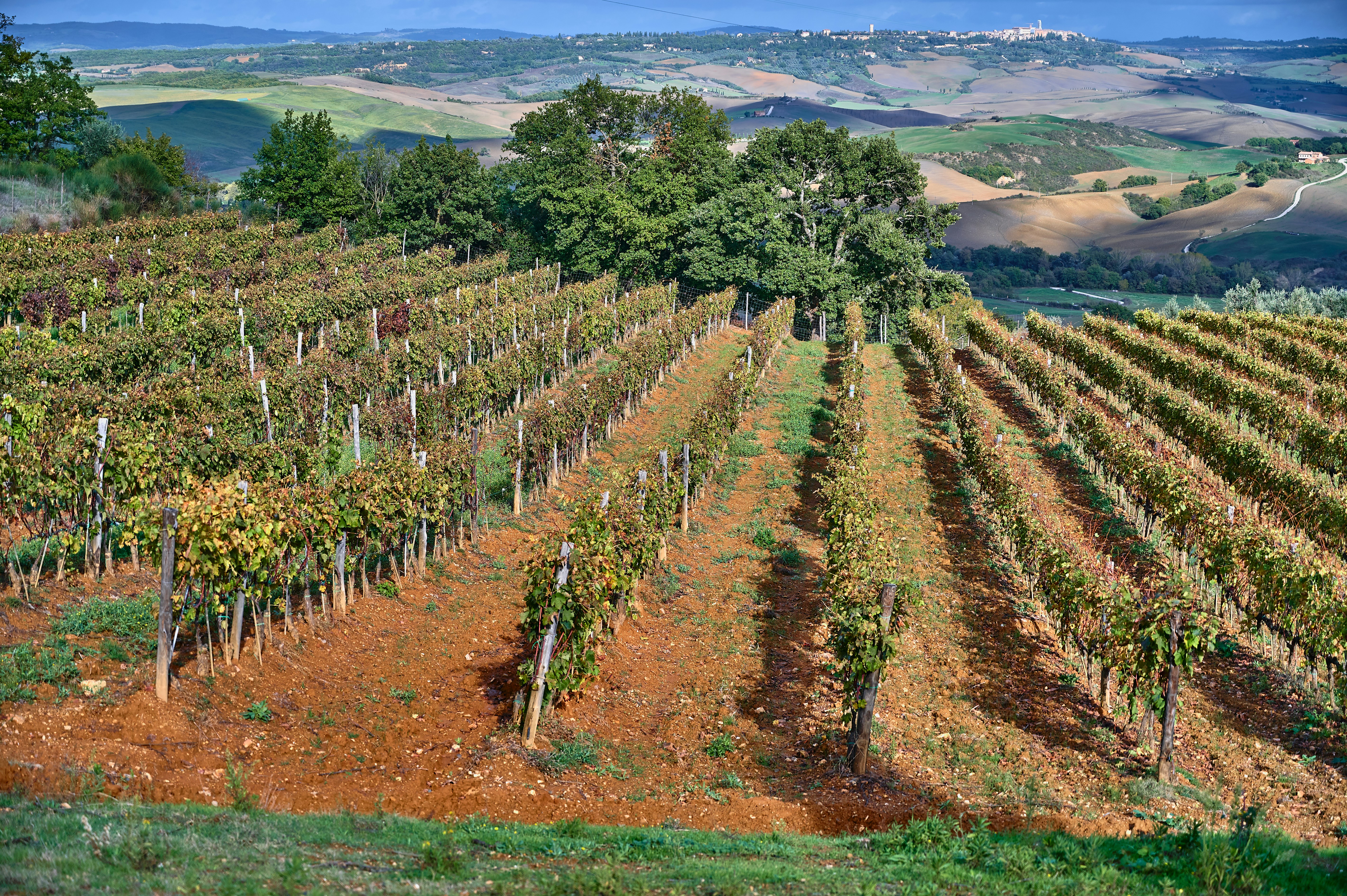 Confidential Address