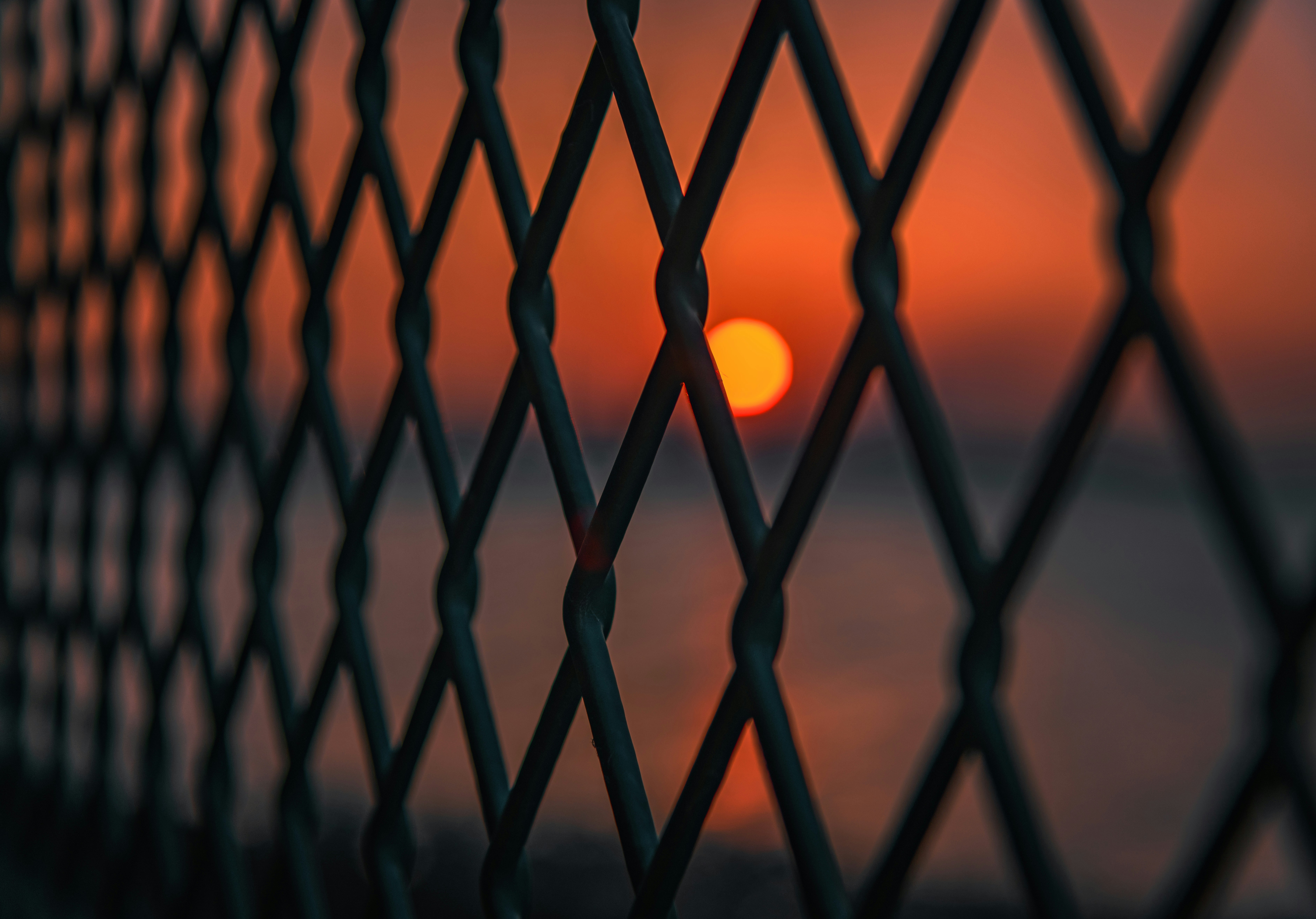 Photo by zhaochen1975