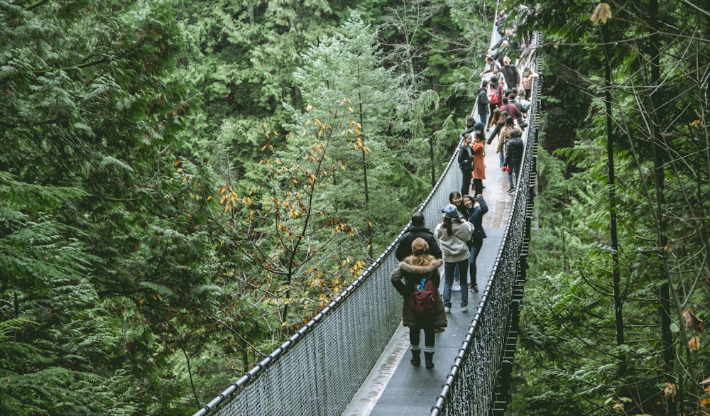 people walking on hanging bridge