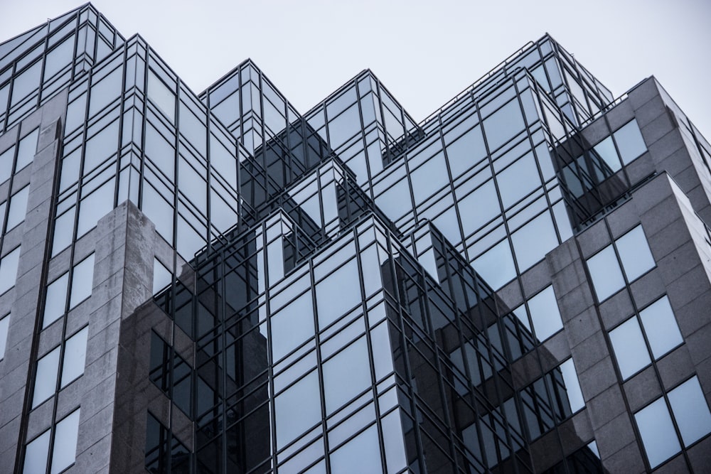 edificio in cemento bianco e nero