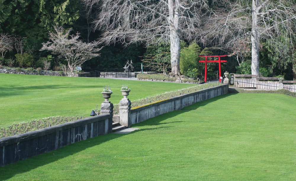 green grass field with trees