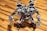 A detailed robotic figure stands on a wooden surface. The robot features intricate metallic components, including articulated arms and legs, and a complex head design with visible mechanics. Its overall aesthetic is metallic, with a prominent gray and silver color scheme accented with darker and lighter shades. The robot appears poised and ready for action, with one arm equipped with a circular saw-like mechanism.