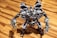 A detailed robotic figure stands on a wooden surface. The robot features intricate metallic components, including articulated arms and legs, and a complex head design with visible mechanics. Its overall aesthetic is metallic, with a prominent gray and silver color scheme accented with darker and lighter shades. The robot appears poised and ready for action, with one arm equipped with a circular saw-like mechanism.