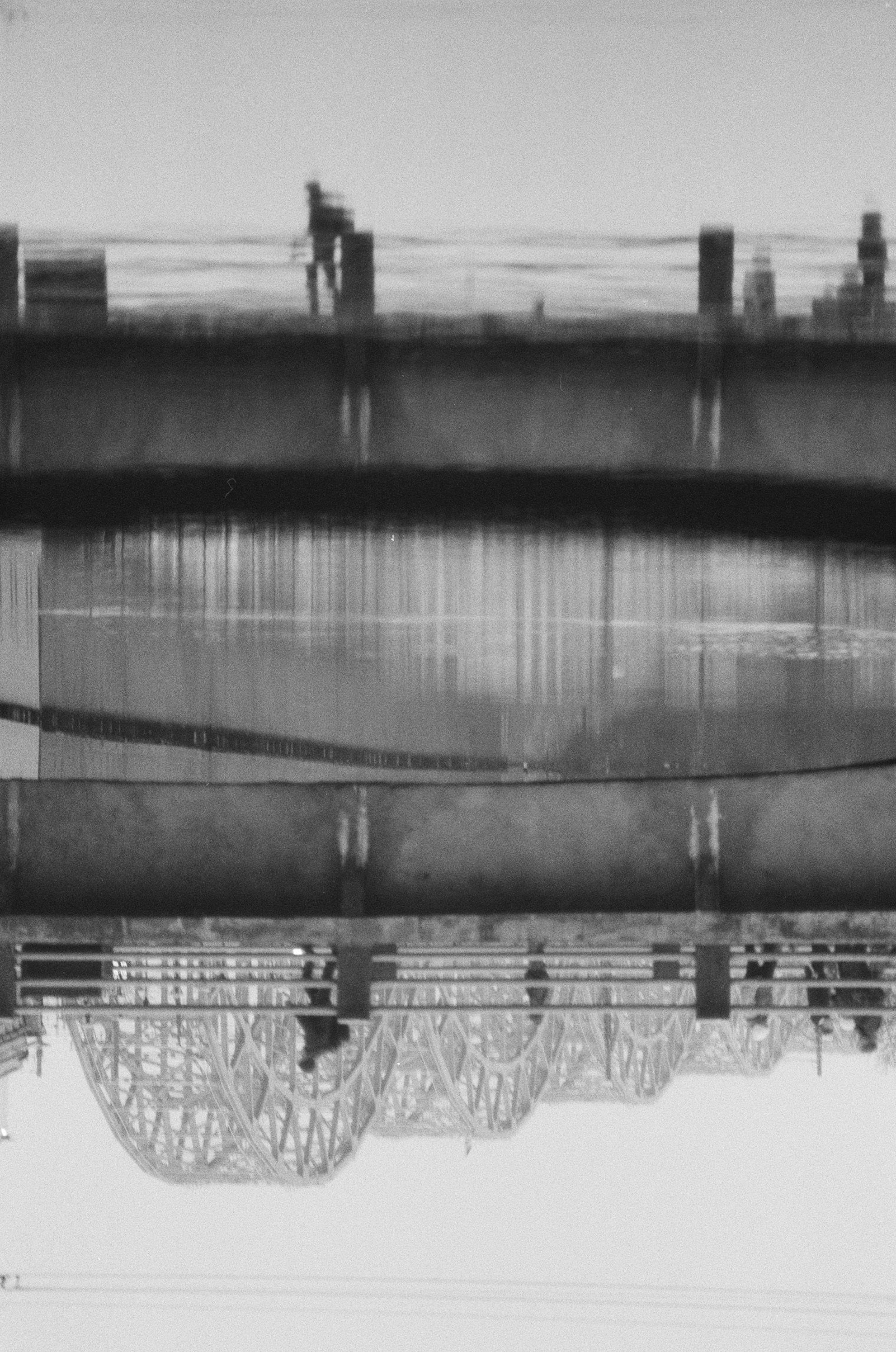 Photo by kasparseglitis