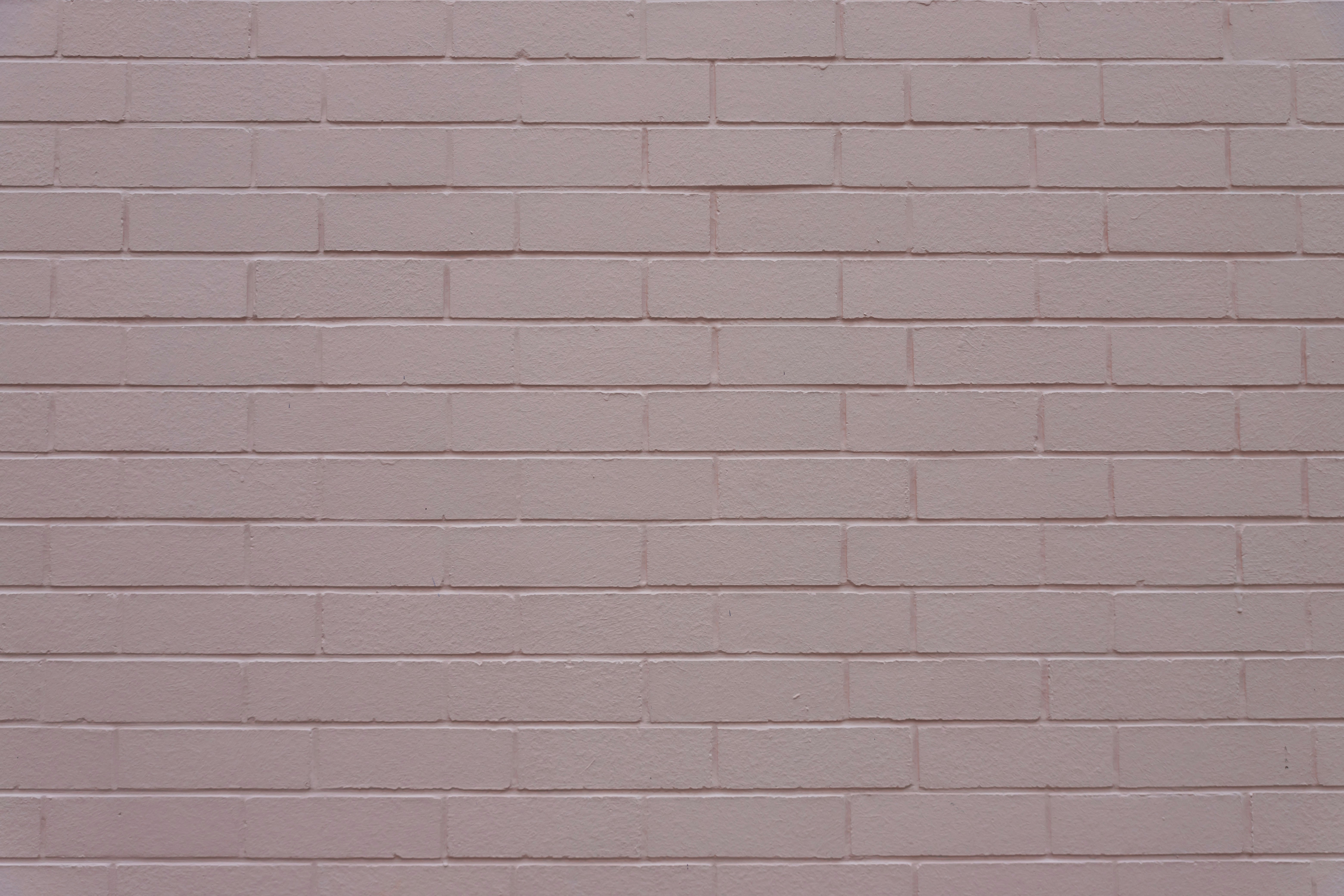 昼間の白いレンガの壁の写真 Unsplashで見つける茶色の無料写真