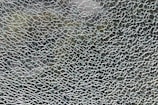 water droplets on glass during daytime